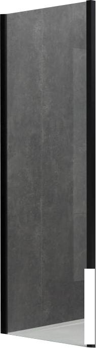 Душевая стенка Allen Brau Priority 3.31048.BBA 99x200 294077 (черный браш)