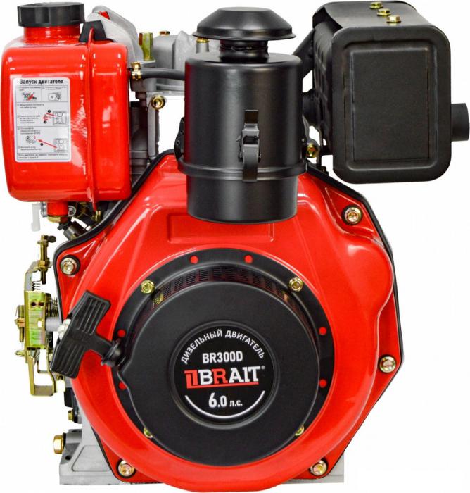 Дизельный двигатель Brait BR300D