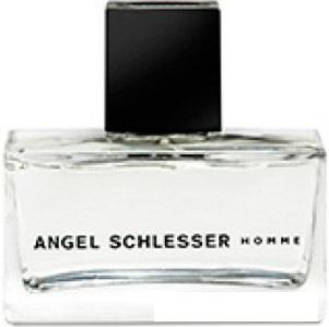 Туалетная вода Angel Schlesser Homme edT (125 мл)