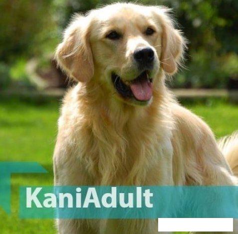 Сухой корм для собак Quicker Kani Chicken Adult 20 кг