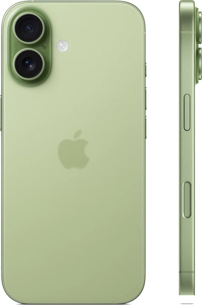 Телефон Apple iPhone 17 256GB (зеленый)