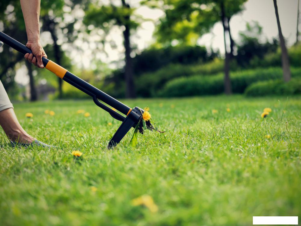 Корнеудалитель Fiskars Xact 1020126