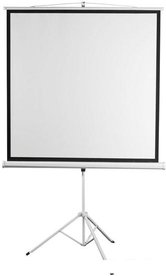 Проекционный экран Digis Kontur-D 248x189 DSKD-4304