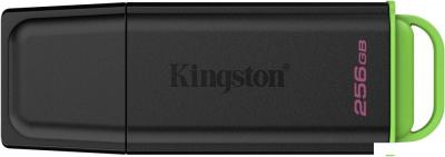 USB Flash Kingston DataTraveler Exodia 256GB DTXG2/256GB
