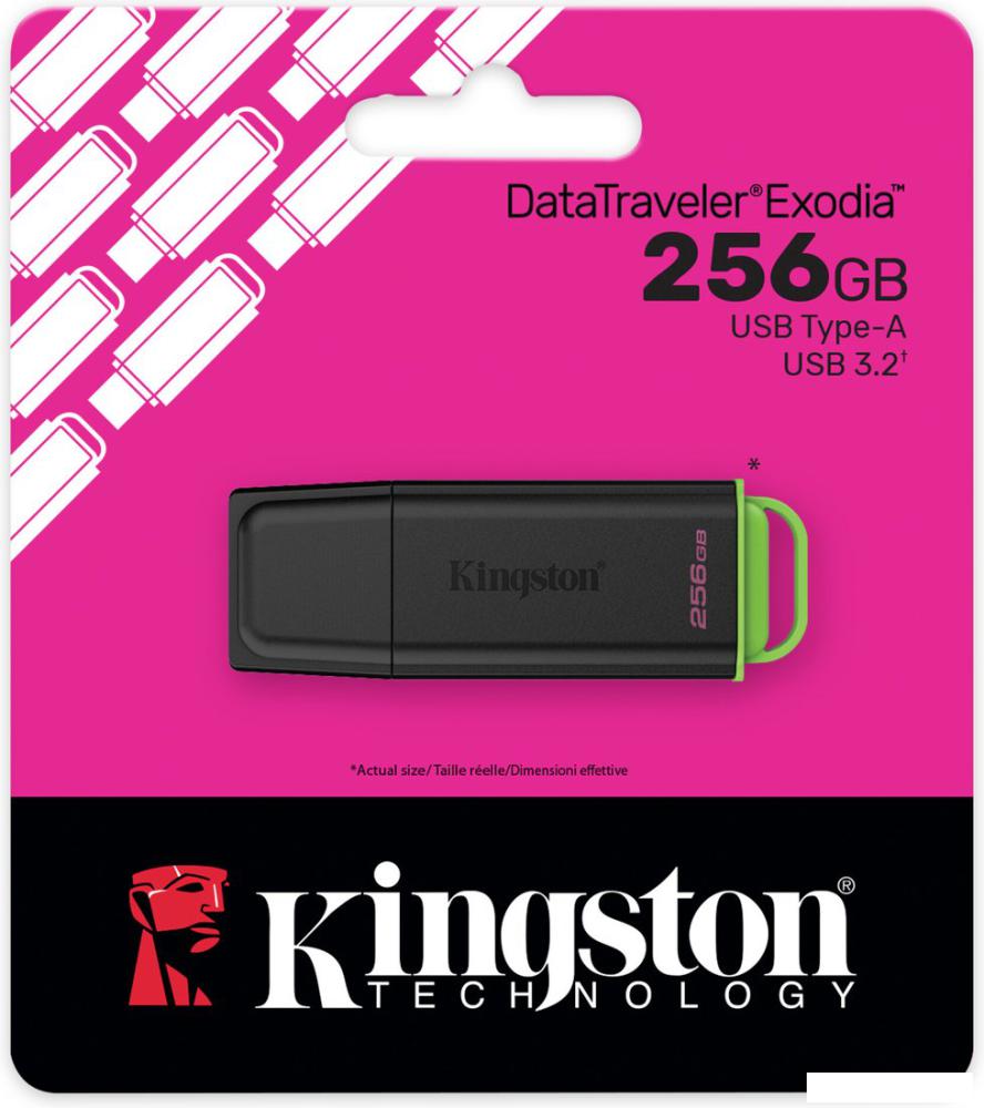 USB Flash Kingston DataTraveler Exodia 256GB DTXG2/256GB