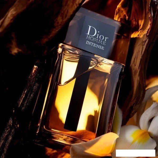 Парфюмерная вода Christian Dior Dior Homme Intense EdP (100 мл)