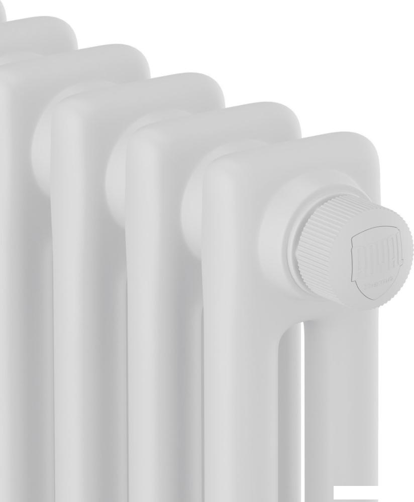 Стальной трубчатый радиатор Royal Thermo Insignia VC2180 - 14 секций RAL9016