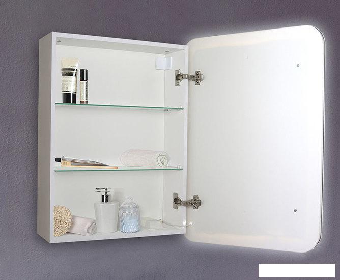 Silver Mirrors Шкаф с зеркалом Фиджи 60x80 LED-00002364