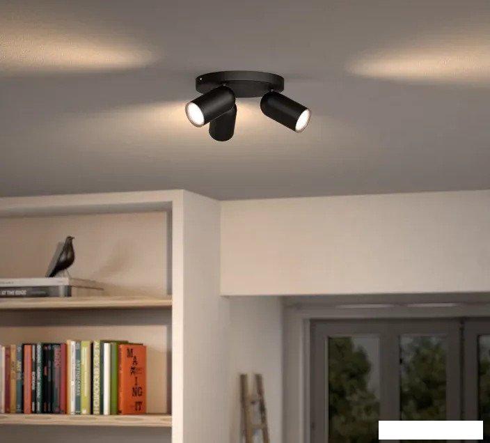 Припотолочная люстра Philips Pongee Plate/Spiral Black 3xNW 230V 915005531301