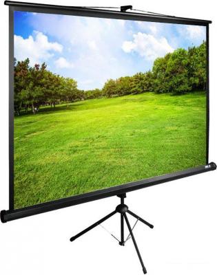 Проекционный экран CACTUS TriExpert 180x135 CS-PSTE-180х135-BK