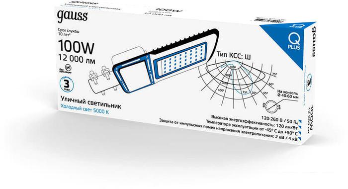 Уличный прожектор Gauss Qplus 629535300