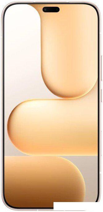 Телефон HONOR 600 Lite 8GB/256GB международная версия (пустынное золото)