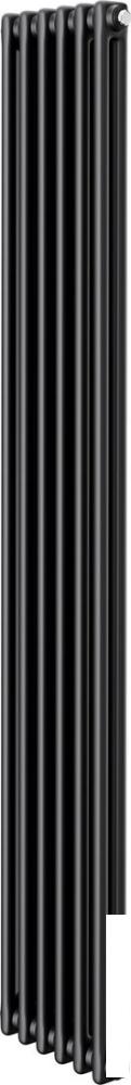 Стальной трубчатый радиатор Royal Thermo Insignia C2180 - 06 секций RAL9005m