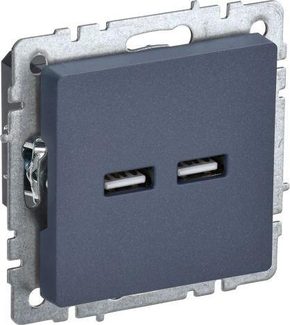 Розетка USB IEK Brite BR-U21-D31-K35