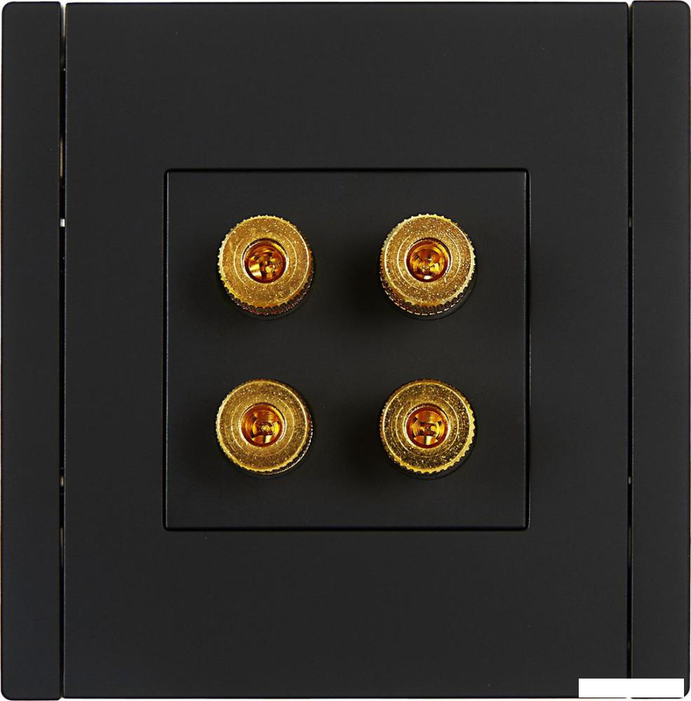 Розетка акустическая IEK Forte&amp;Piano FP-S40-K02