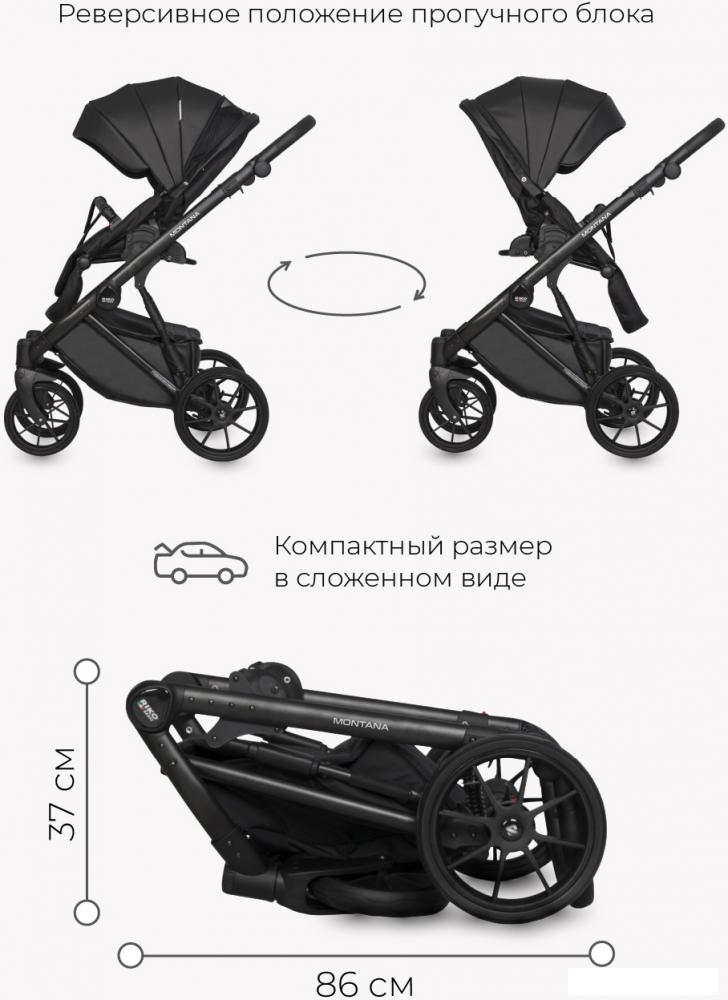 Универсальная коляска Riko Basic Montana Ecco (3 в 1, 12/черный)