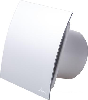 Осевой вентилятор Awenta System+ Silent 100 [KWS100-PET100]