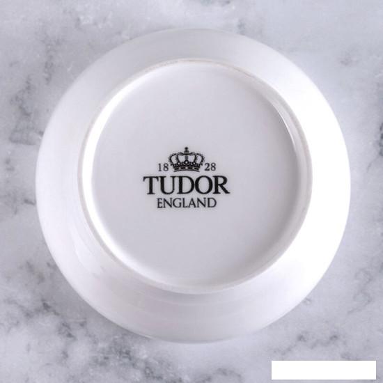 Салатник Tudor England TU0820-2