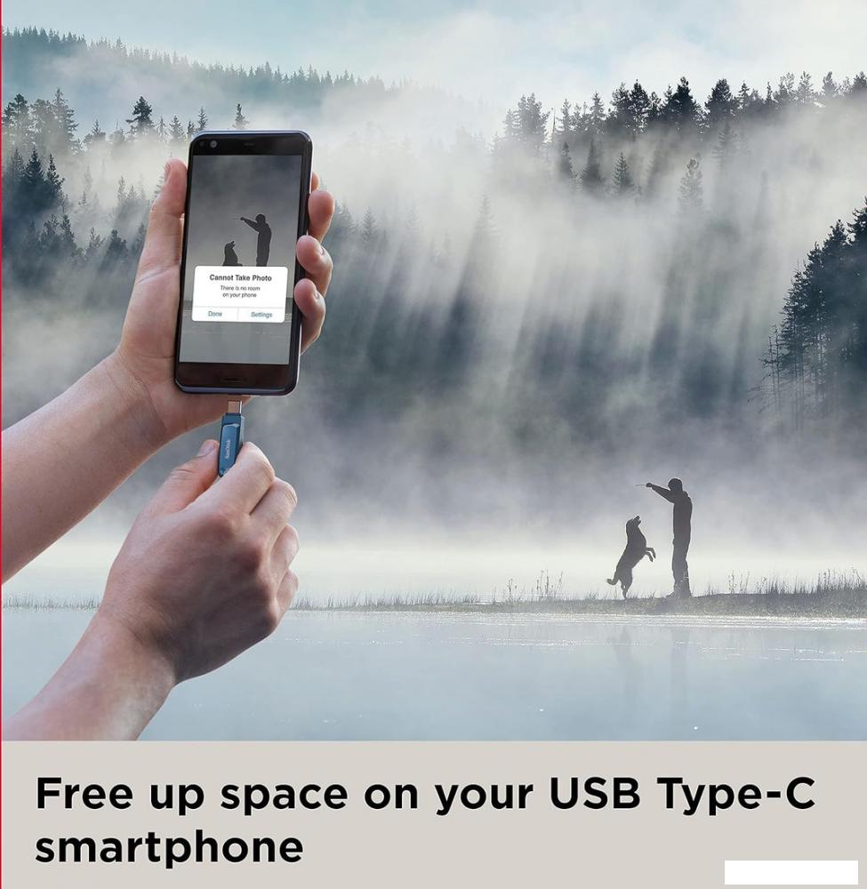 USB Flash SanDisk Ultra Dual Drive Go Type-C 64GB SDDDC3-064G-G46NB