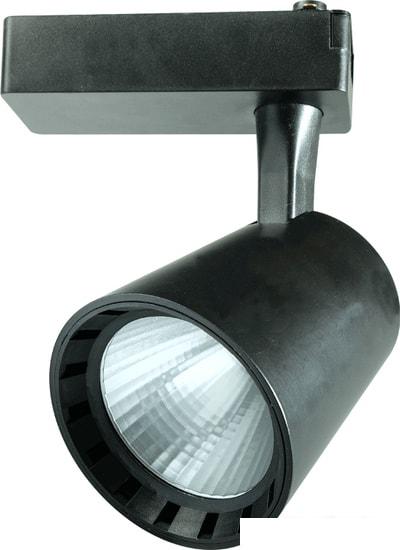 Трековый светильник JAZZway PTR 0330 30w (черный)