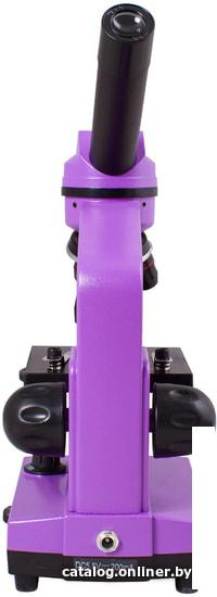 Детский микроскоп Levenhuk Rainbow 2L (аметист) 69036