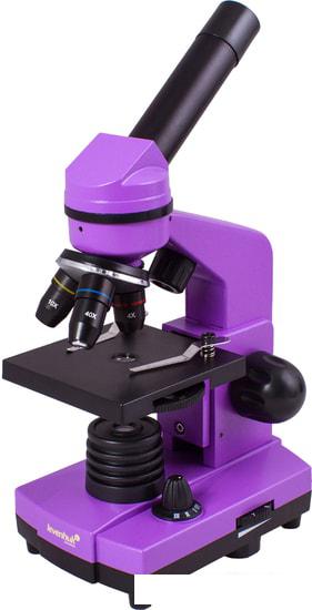 Детский микроскоп Levenhuk Rainbow 2L (аметист) 69036