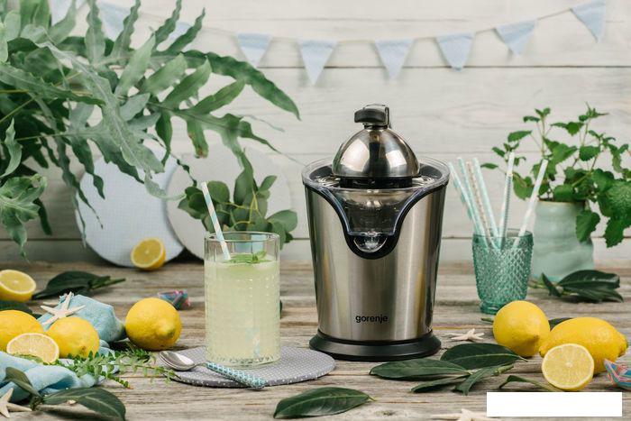 Соковыжималка Gorenje CJ100HE