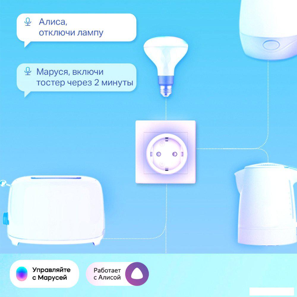 Умная розетка TP-Link Tapo P115