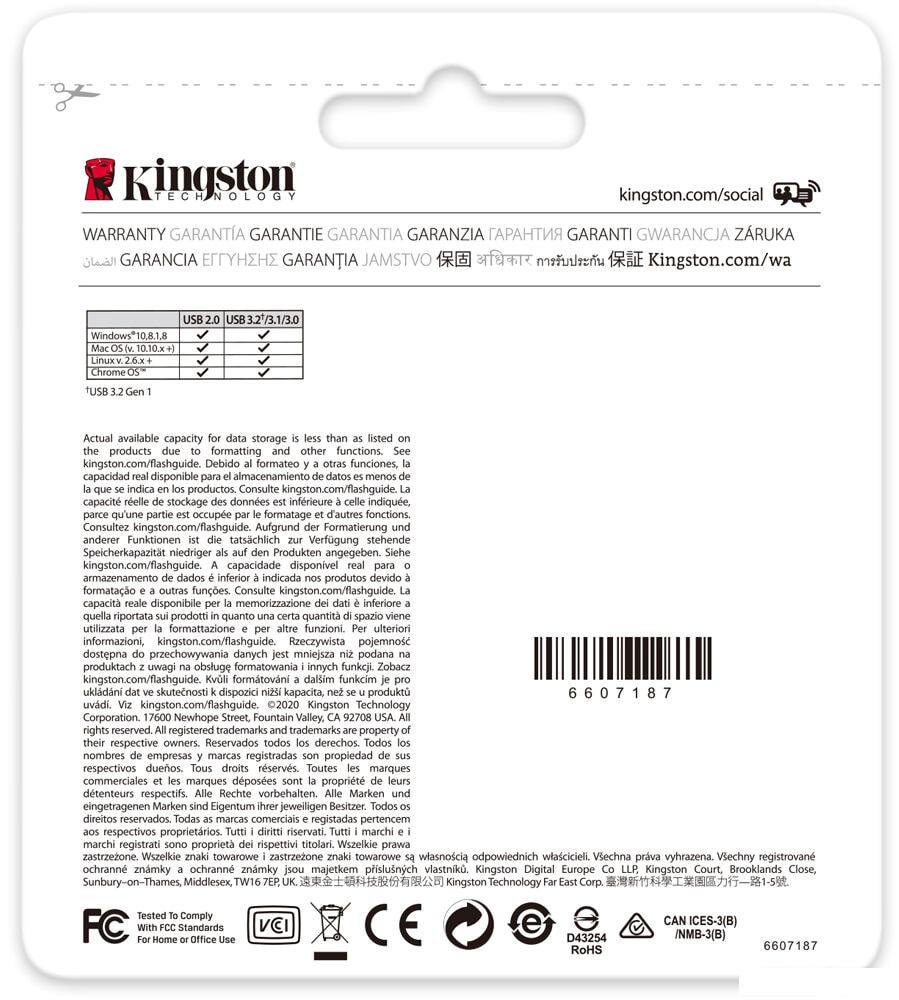 USB Flash Kingston Kyson 256GB