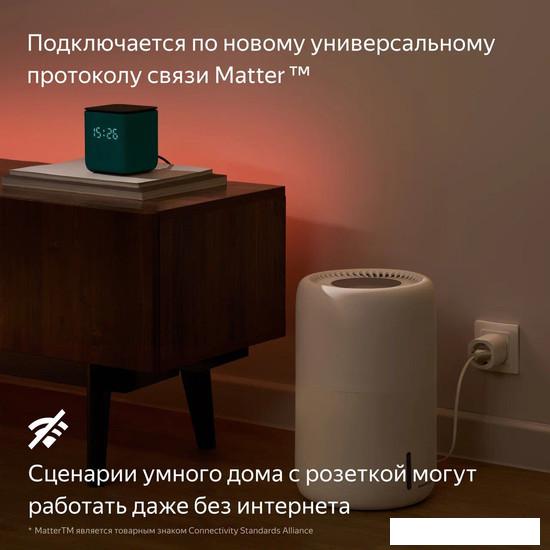 Умная розетка Яндекс YNDX-00540BLK (черный)