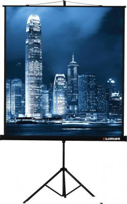 Проекционный экран Lumien Master View 244x244 (LMV-100105) Проекционный экран Lumien Master View 244x244 (LMV-100105)