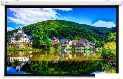 Проекционные экраны Lumien Master Picture 194х276 LMP-100114CSR