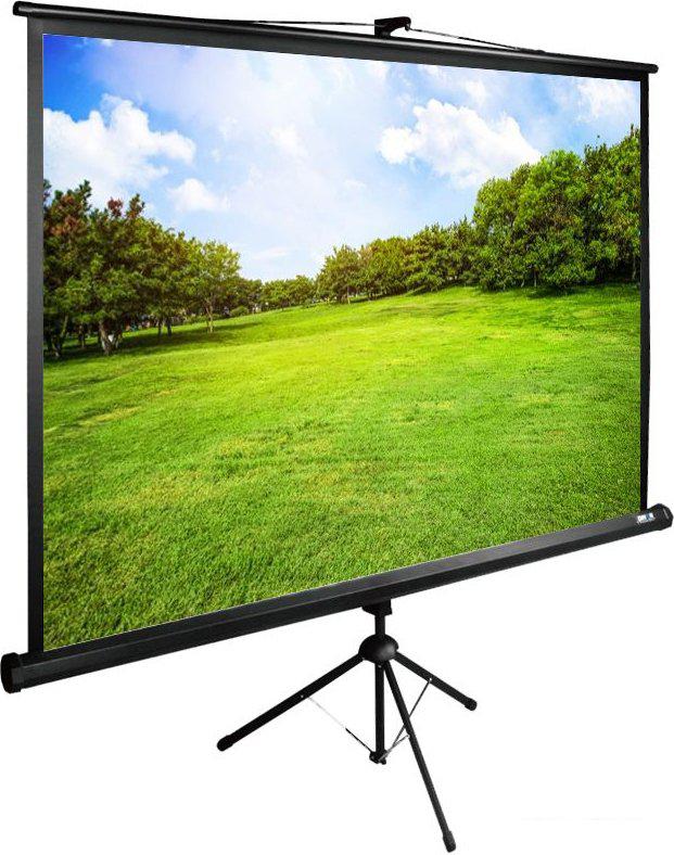 Проекционный экран CACTUS TriExpert 200x200 CS-PSTE-200х200-BK