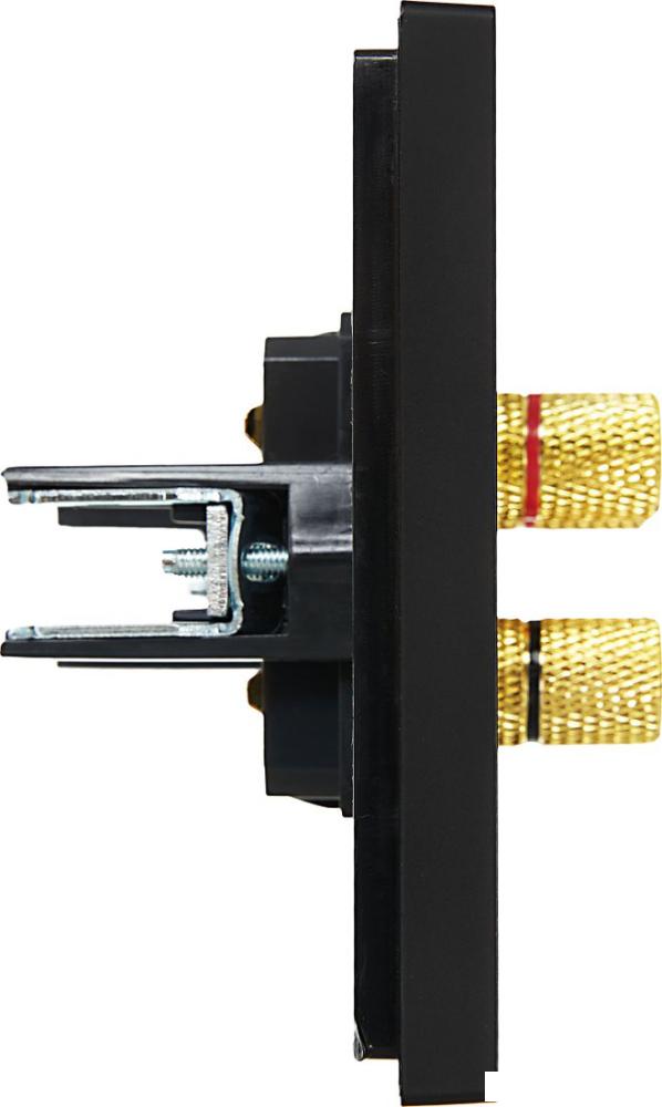 Розетка акустическая IEK Forte&amp;Piano FP-S40-K02