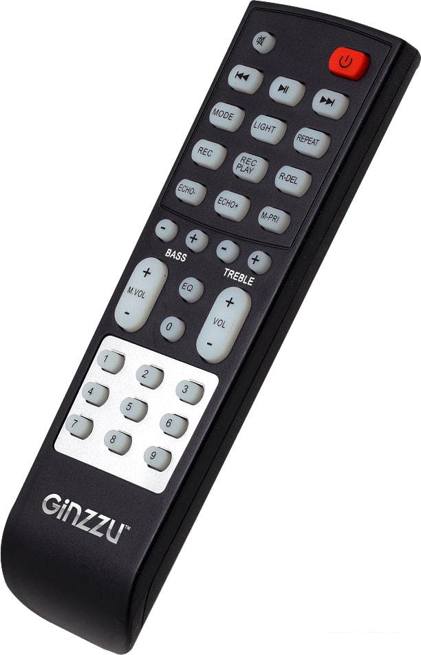 Колонка для вечеринок Ginzzu GM-215