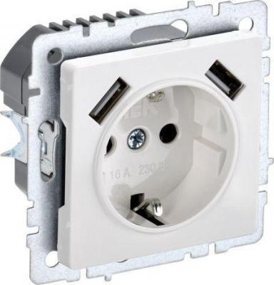 Розетка IEK Brite BR-R14-16-U21-D31-K01