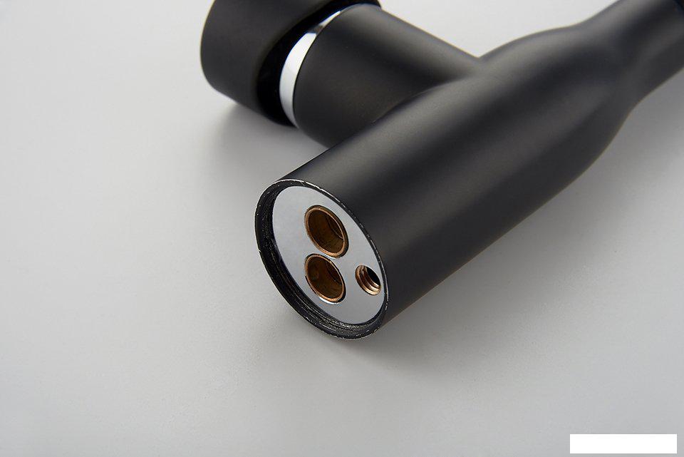 Смеситель Ledeme H98 L4698B (черный матовый)