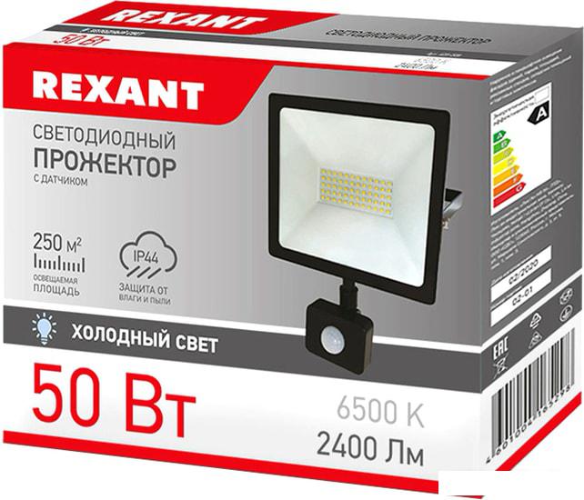 Уличный прожектор Rexant 605-009