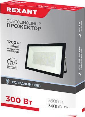 Уличный прожектор Rexant 605-030