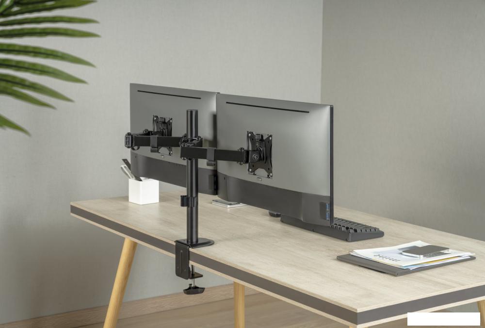 Кронштейн для монитора ErgoSmart Twin II
