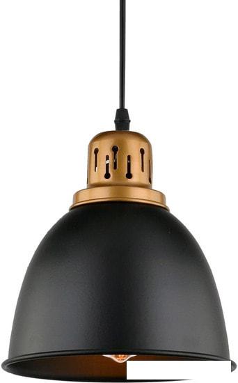 Светильник Arte Lamp Eurica A4245SP-1BK