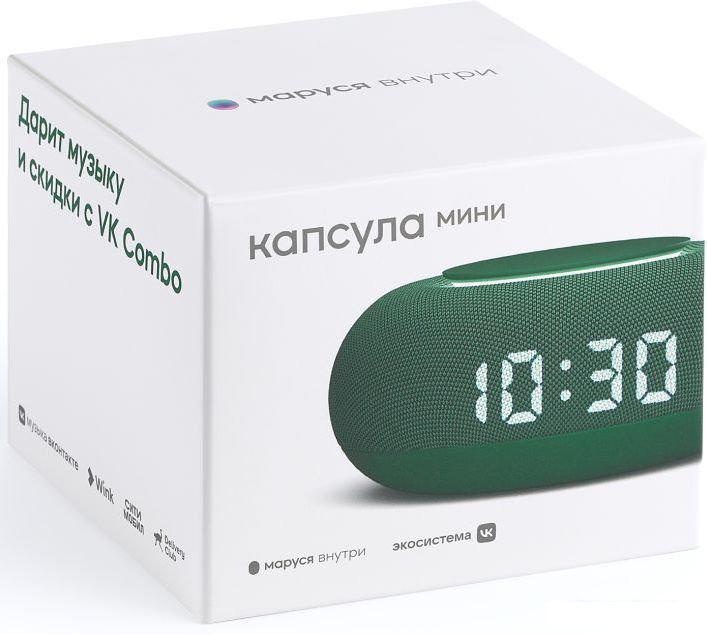 Умная колонка VK Капсула Мини (хвойный зеленый)