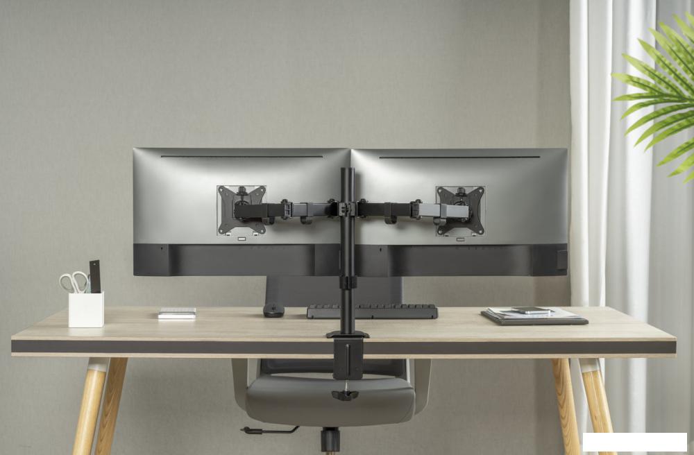 Кронштейн для монитора ErgoSmart Twin II