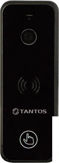 Вызывная панель Tantos iPanel 2+ (черный)
