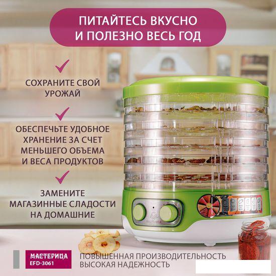 Сушилки для овощей и фруктов Мастерица EFD-3061 (зеленый перламутр)