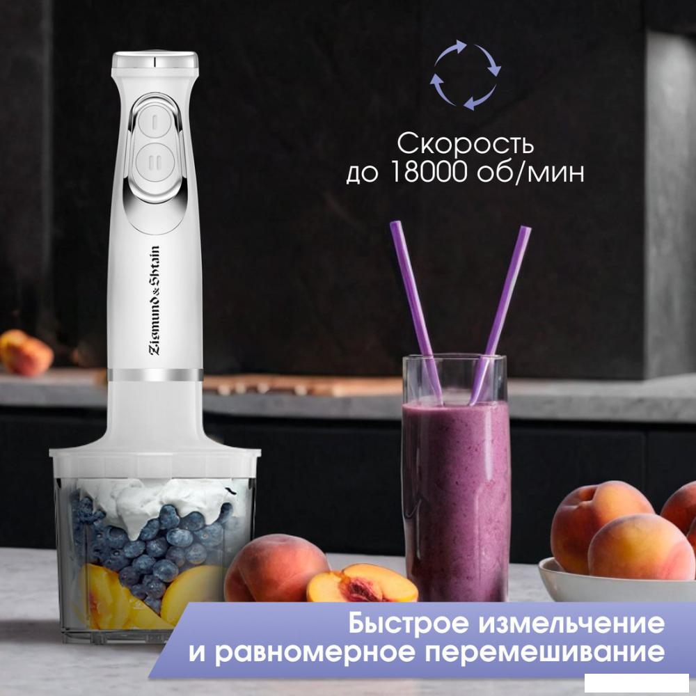 Блендеры Zigmund & Shtain BH-244 M
