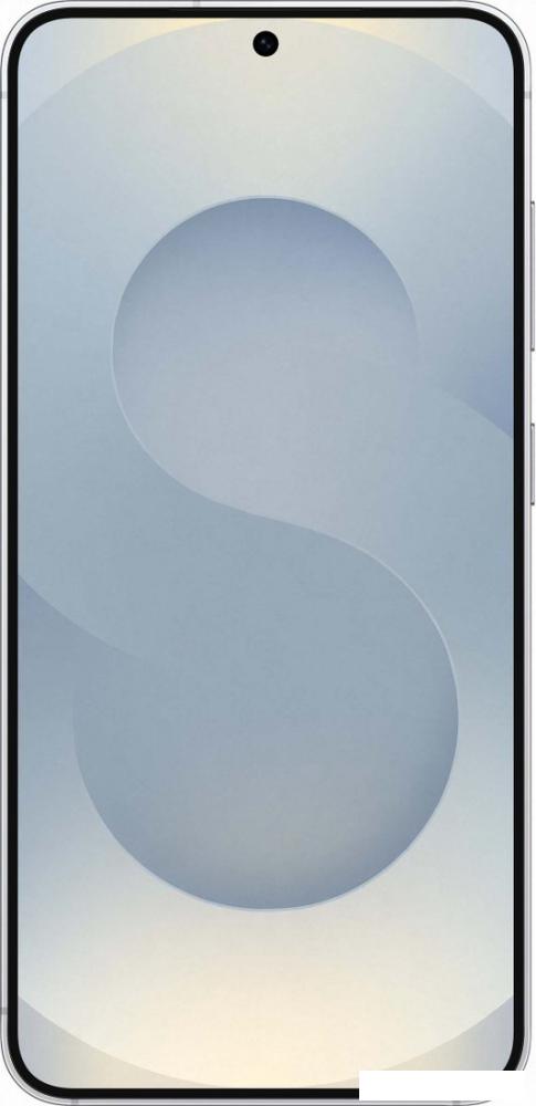 Телефон Samsung Galaxy S25 SM-S931B 12GB/512GB (серый)
