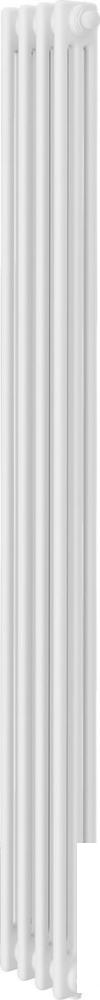Стальной трубчатый радиатор Royal Thermo Insignia VC3180 - 04 секций RAL9016