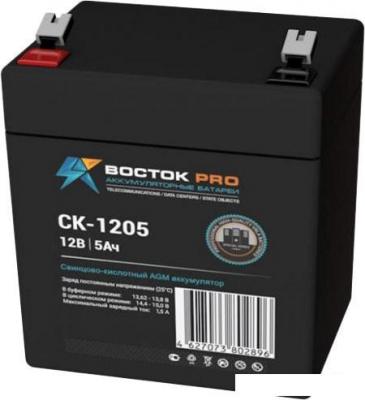 Аккумулятор для ИБП Восток СК-1205 (12В/5 А·ч)