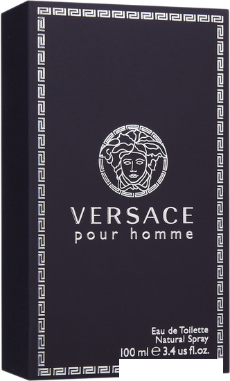 Туалетная вода Versace Pour Homme EdT (100 мл)